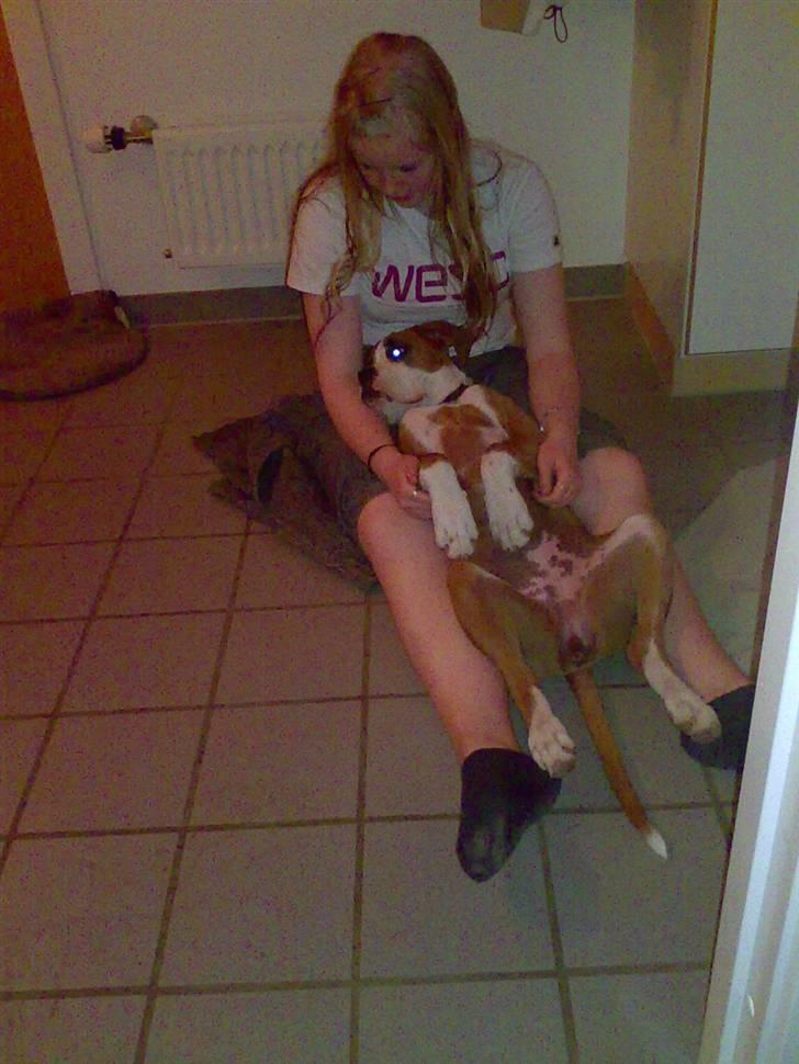 Boxer Matilde billede 14