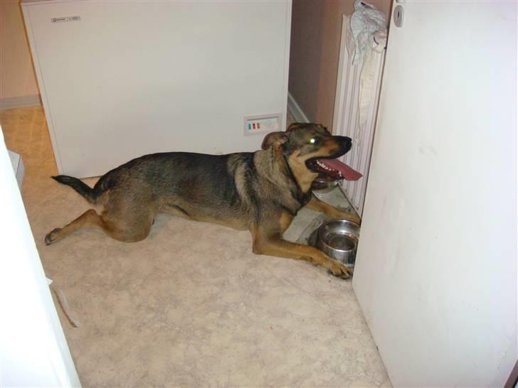 Blanding af racer Leica - Puh, det er altså hårdt. Skal også have lidt luft!!! billede 18