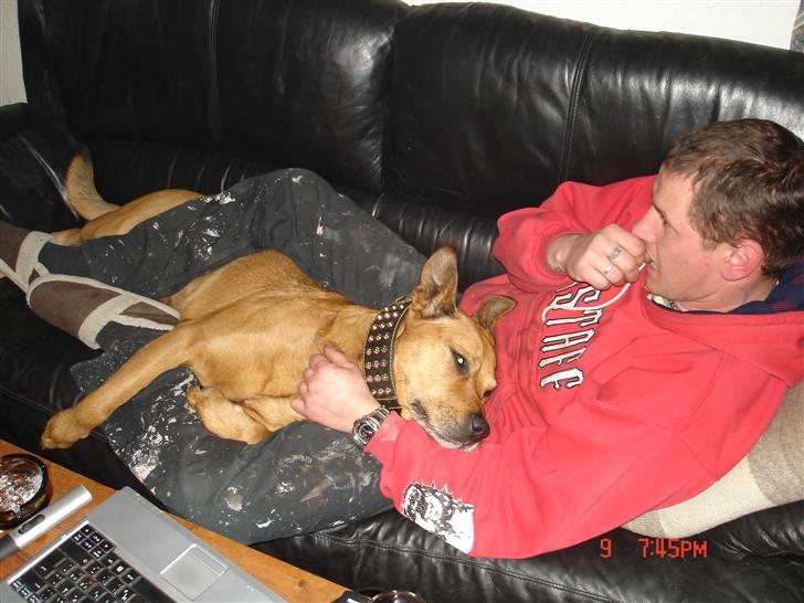 Blanding af racer rommel - næææ.. hvae.... er det en is du har der? kan du virkelig godt spise den?... billede 18