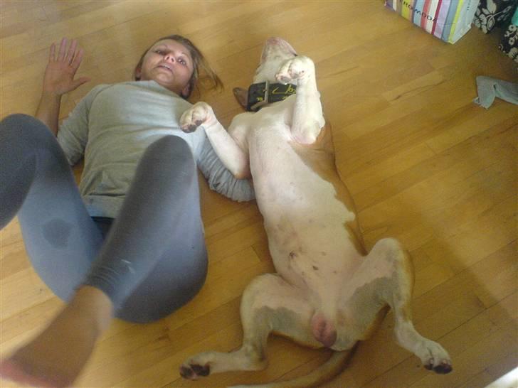 Blanding af racer Lupus - Emilija og Lupus spiller døde :) billede 15