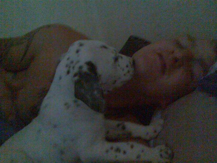 Blanding af racer Millalik nanok  - Mig og pops slapper af :) billede 5