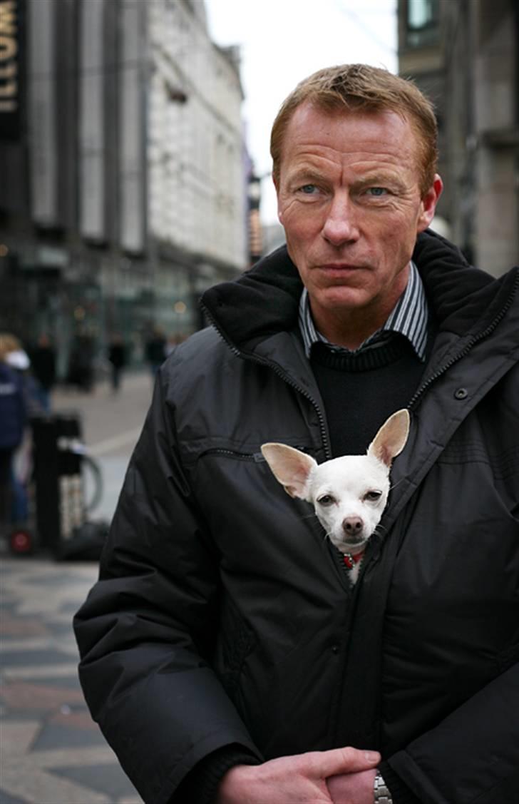 Chihuahua Guadalupe (Lupe) - Lupe sidder trygt og varmer sig under jakken på sin gode ven, Årets dyreven 2010, Christian H. Hansen, MF og partiformand i FOKUS billede 9