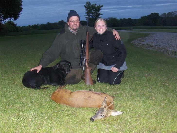 Labrador retriever emma  ( I himlen )- sasja - Hc ja han skød... mig sasja jeg er movi star billede 4