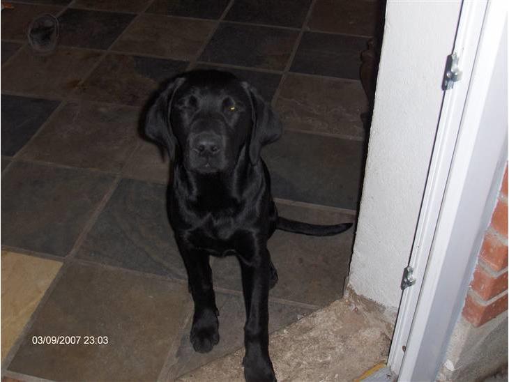 {{currentPhoto.altText}} billede {{currentPhoto.number}}