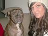 Staffordshire bull terrier Enodden's Loke