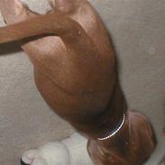 Labrador retriever tayson [død]