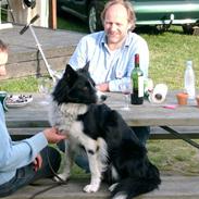 Border collie Aslan