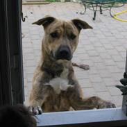 Blanding af racer manne