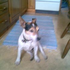 Blanding af racer Arco