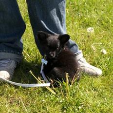 Blanding af racer Leeloo