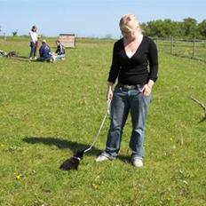 Blanding af racer Leeloo