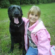 Blanding af racer Bamse