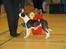 Amerikansk staffordshire terrier True Staff´s All eye´s on