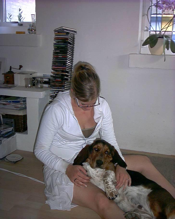 Basset hound Berta - RIP - Ren afslapning... billede 10