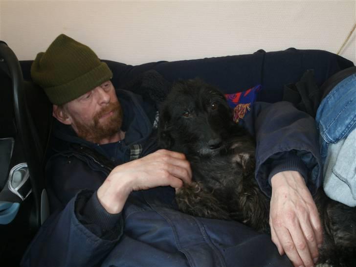 Gravhund Molly R.I.P - Velkommen til molly´s profil. Far og Molly (: billede 3