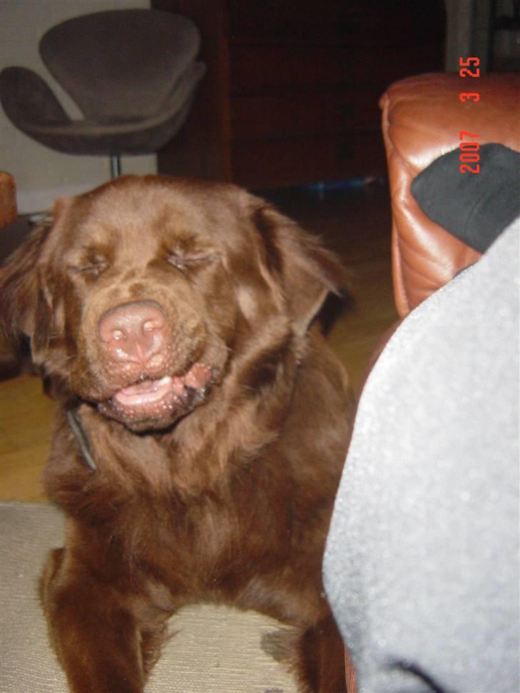 Blanding af racer Bobbi Brown billede 15