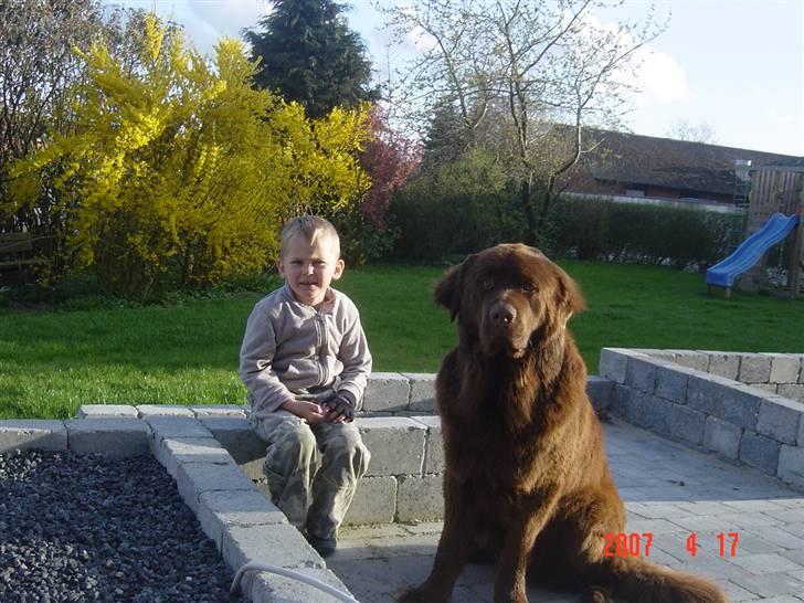 Blanding af racer Bobbi Brown billede 16