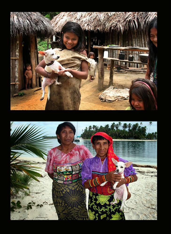 Chihuahua Guadalupe (Lupe) - Lupe i Colombia. Hilser på lokale beboere i en lille landsby 3 dages vandring inde i junglen. Juni 2008 ...nederste billede er fra Panamas san blas øer billede 13