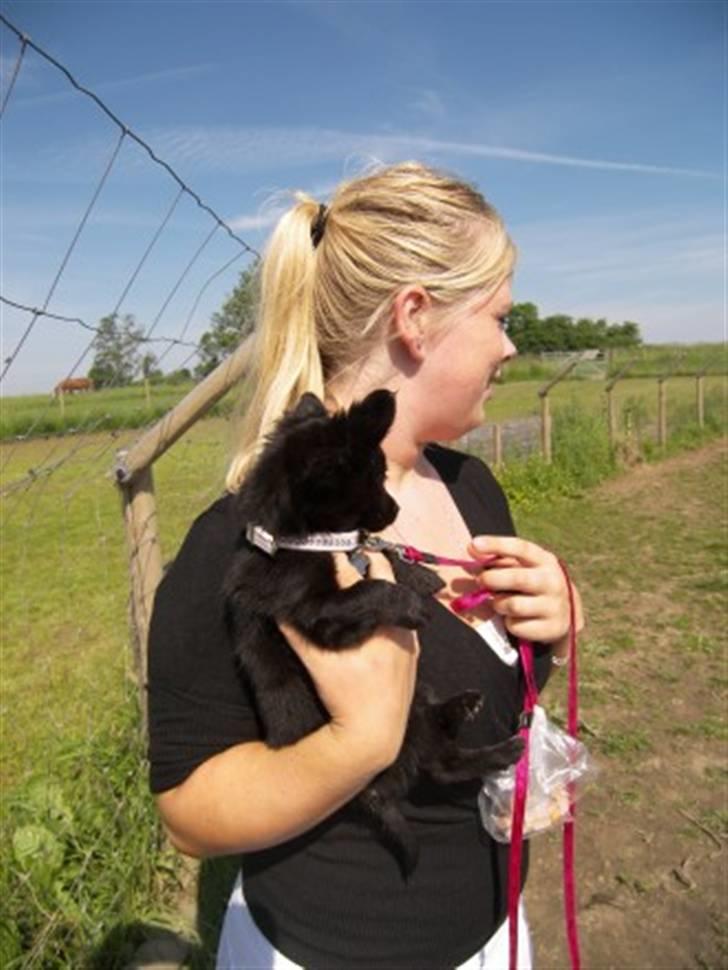 Blanding af racer Leeloo billede 3