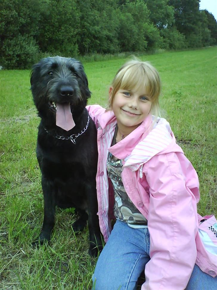 Blanding af racer Bamse - Bamse på tur med sin "søster"  billede 1