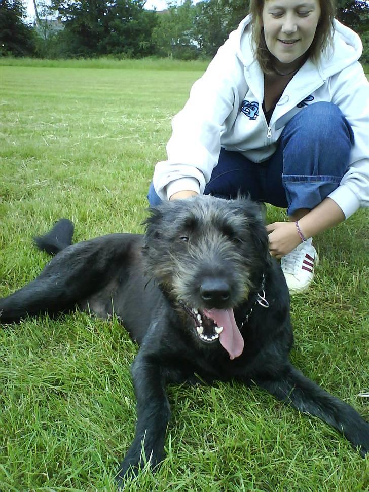 Blanding af racer Bamse - Bamse og mor på "plænen" :o) billede 13