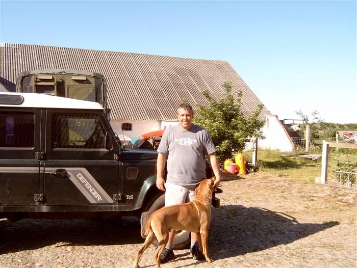 Rhodesian ridgeback shani billede 1