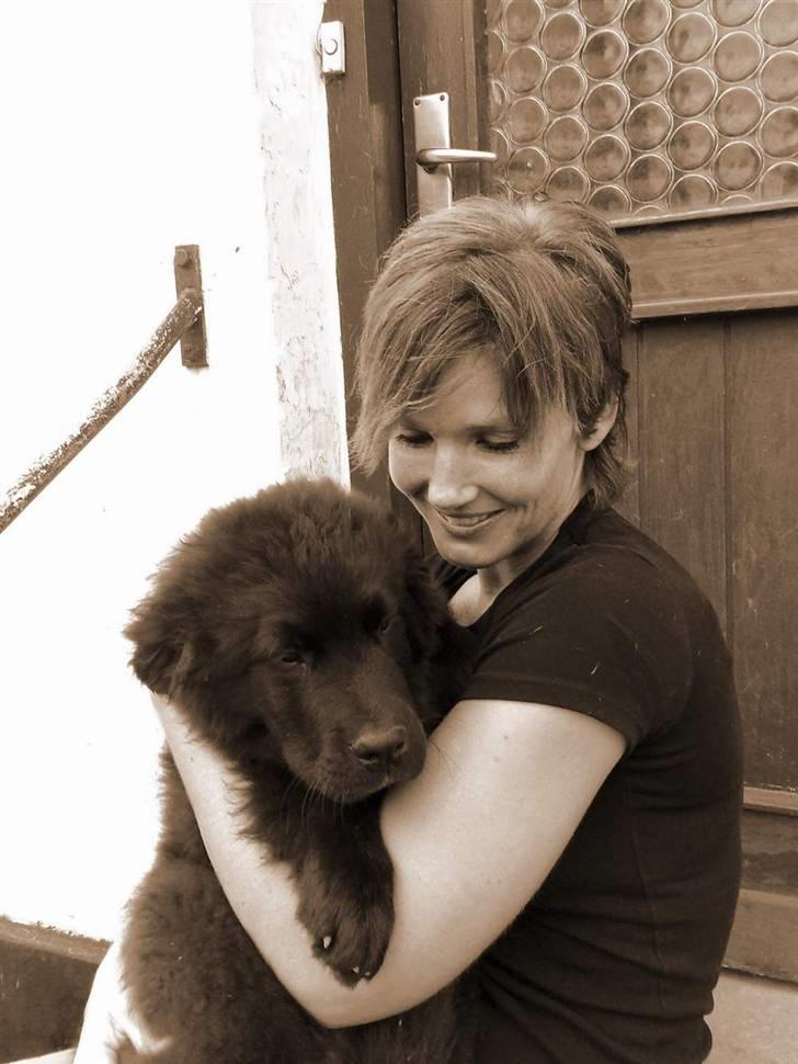 Newfoundlænder Aya - Se min fine lyserøde tunge billede 9