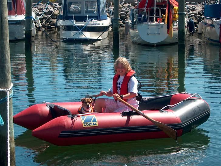Dansk svensk gaardhund Emil - Det er slet ikke så værst at sejle. billede 6