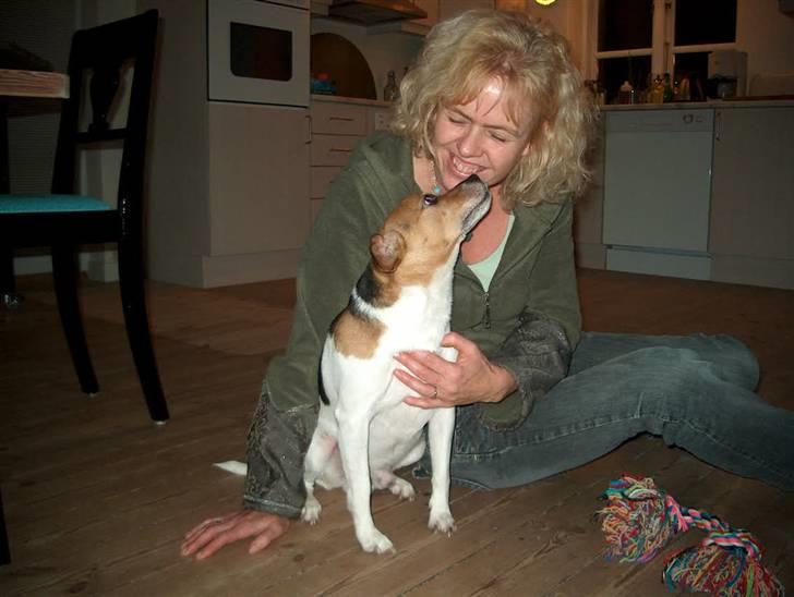 Dansk svensk gaardhund Emil - Jeg elsker dig. billede 9