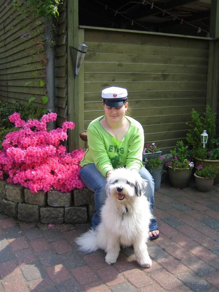 Blanding af racer Bølle - Her sidder jeg med min mor... billede 17