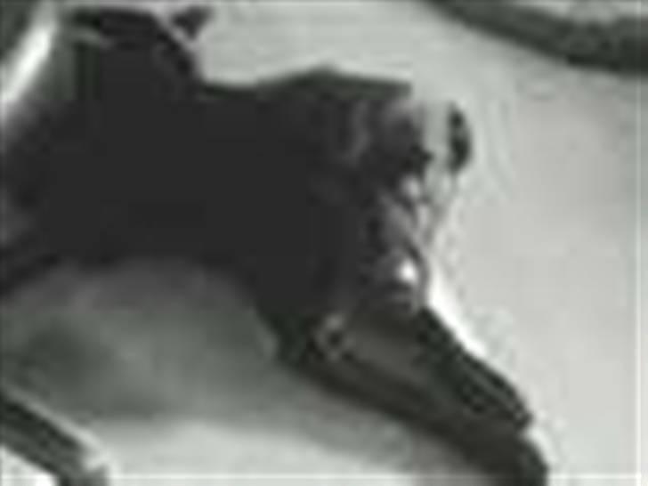 Blanding af racer Holger billede 3