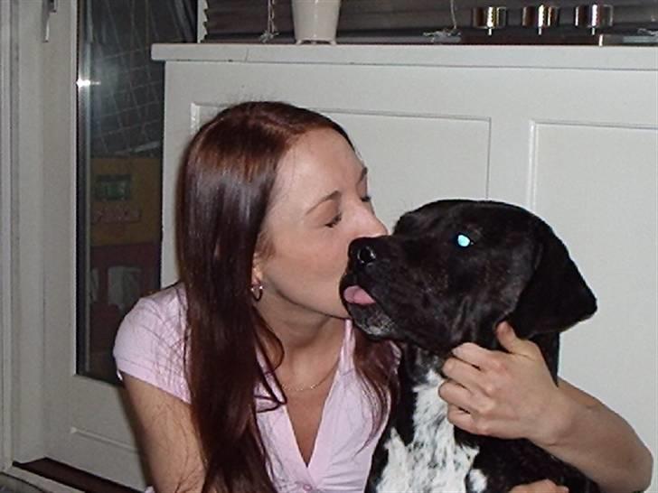 Blanding af racer Eika billede 16