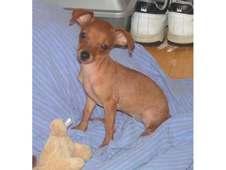 {{currentPhoto.altText}} billede {{currentPhoto.number}}