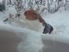 Beagle salus plet [ Himmelhund]