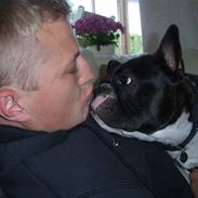 Fransk bulldog Tyson # R.I.P #