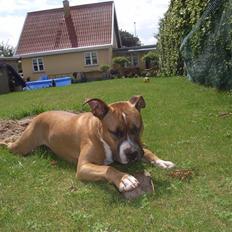 Blanding af racer gizmo