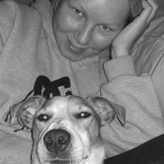 Jack russell terrier Cult