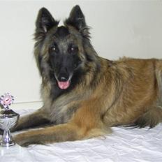 Tervueren Flica 01.12.1999 - 08.10.2013