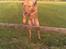 Blanding af racer Simba - HOOCH.....
