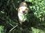 Labrador retriever Laurs RIP - se mor er jeg ikke fin