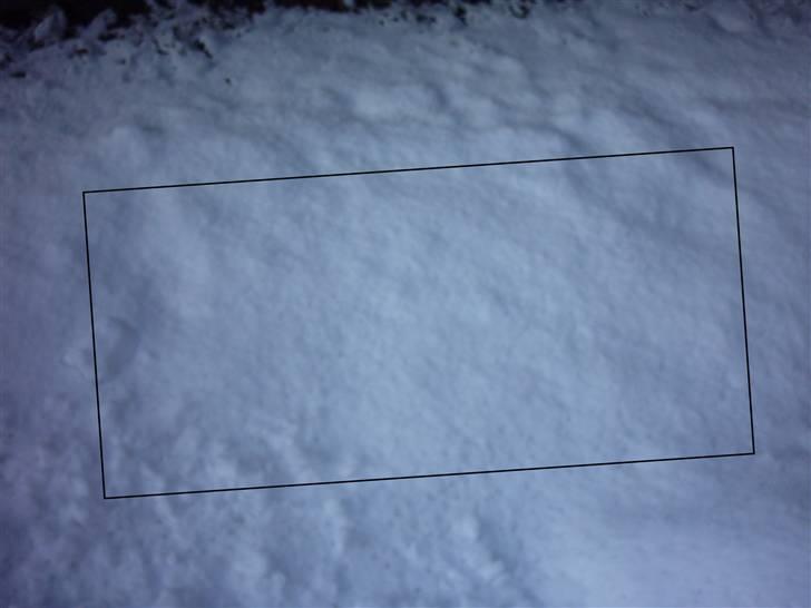 Schæferhund Tasso - Hvil i fred min dejlige vovse... <3 :´( billede 15