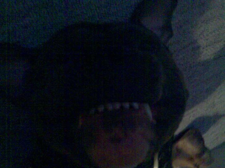 Blanding af racer Rexo~Jensen~ billede 3