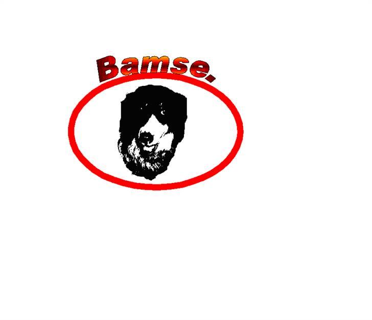 Blanding af racer bamse - (se mig lige) hehe billede 18