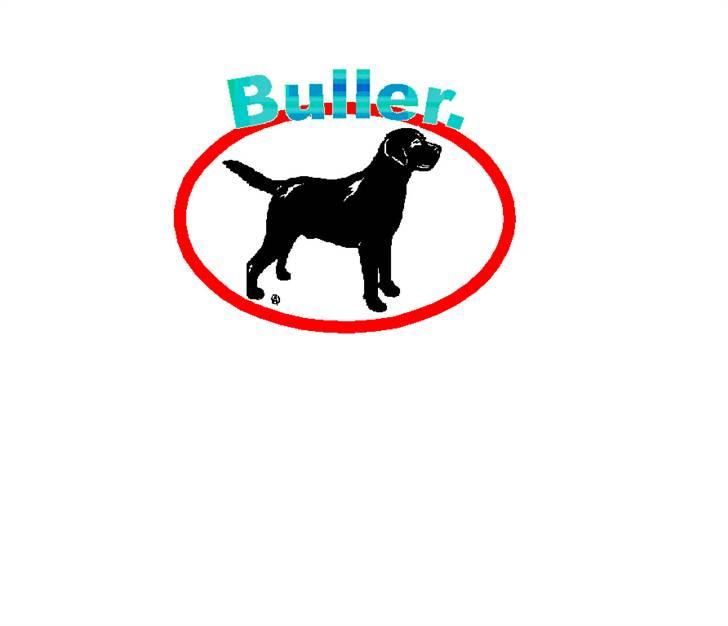 Blanding af racer Buller.... - (se lige det skilt med mig) hehe billede 8