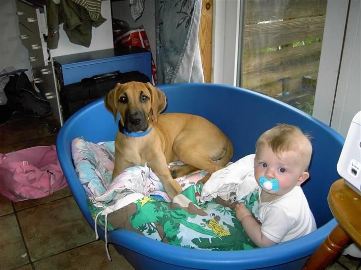 Blanding af racer Abbie - det bliver man træt af efter en lang dag billede 5