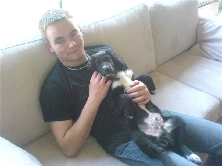 Blanding af racer Rocky - Bliver nusset af far billede 7