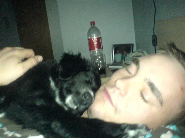 Blanding af racer Rocky - Mig og far putter sammen i sengen. (selvom det er forbudt område :-) billede 9