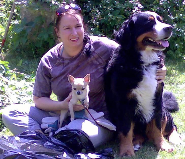 Berner sennenhund Batman (Død dec.09) - Moster, lillebror Magnus (chihuahua) og mig selv!! Ps: det er mig til højre.. billede 19