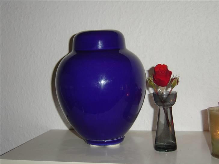 Blanding af racer Zenith - Død 1. juni 2007 - Zenith hviler nu på en hylde i stuen. Savner min pige, men det er godt at kunne snakke med hende.. billede 20