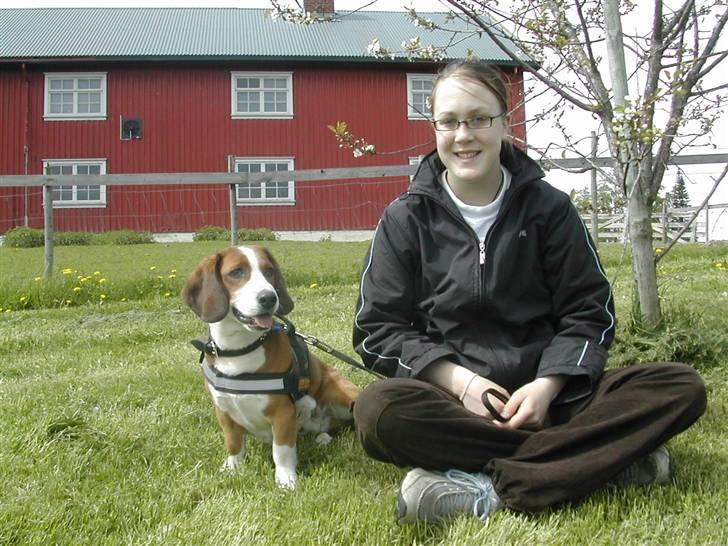 Blanding af racer Doffen - Doffen og hans onkel Affe billede 11